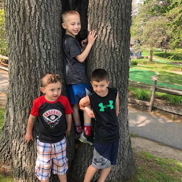 Meet your Posher, Marlene - Picture 1 of 1